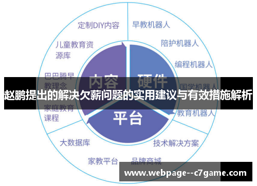 赵鹏提出的解决欠薪问题的实用建议与有效措施解析