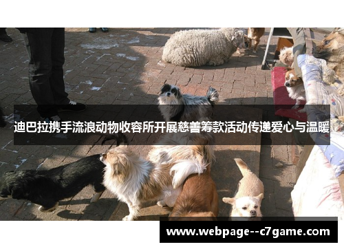 迪巴拉携手流浪动物收容所开展慈善筹款活动传递爱心与温暖